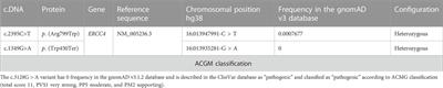 Case report: Variants in the ERCC4 gene as a rare cause of cerebellar ataxia with chorea